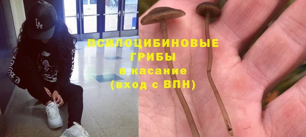 прущая мука Алзамай