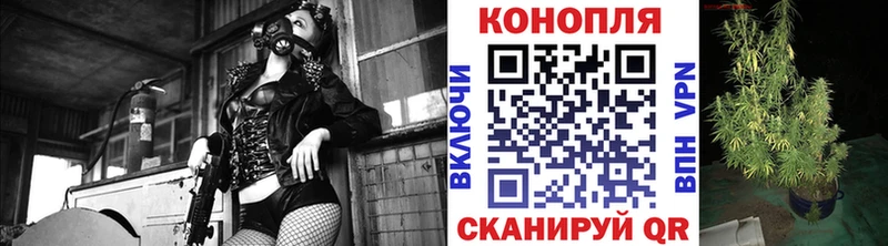 Конопля индика shop телеграм Нерехта